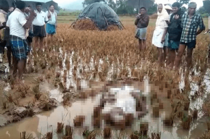 Farmer dies on his own field after Cyclone Phethai destroys crops