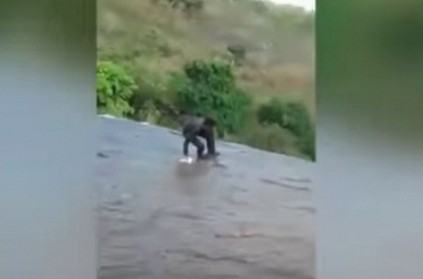 Watch - Man falls down 50 feet waterfall while taking selfie