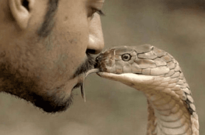 Men get snake to bite their tongue for a kick