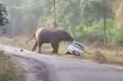 Narrow escape fro two men as elephant topples car