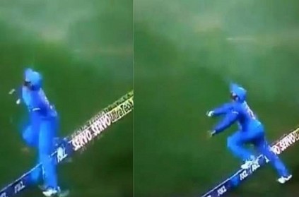 Dinesh Karthiks spectacular catch will leave you awe-struck - Watch