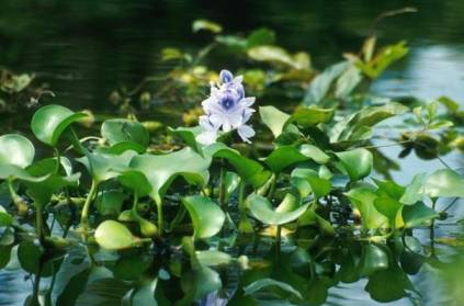 Tamil Nadu: Locals surprised as MLA jumps in to clean pond.