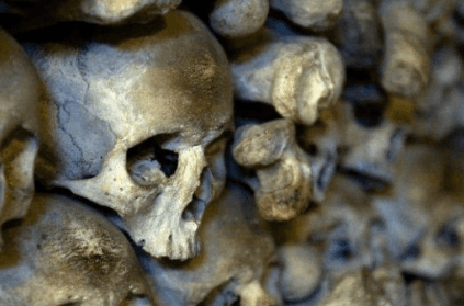 TN villagers spooked after 45 human skulls found dumped in graveyard