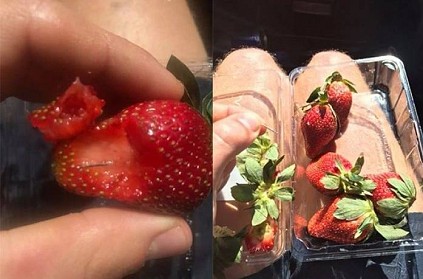 Aus: Boy arrested for putting needles in strawberries