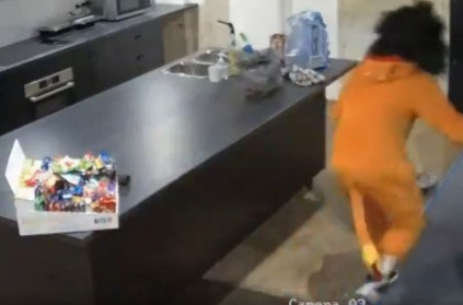 Australian man in lion costume steals electronic items and chocolates