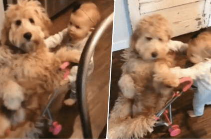 Video of little girl pushing dog off her ride is the cutest thing