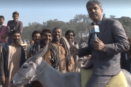 Viral video shows journalist riding donkey while reporting news