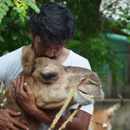 Aalanguruvigalaa single from India's first camel film Bakrid