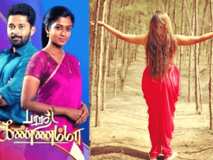 Popular 'Bharathi Kannamma' serial actress surprises fans announcing her pregnancy; shares cute baby-bump pics!