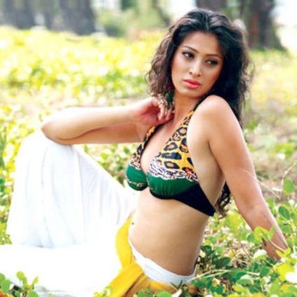 Raai Laxmi talks about Julie 2 and box-office collections