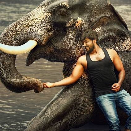Raja Bheema director reveals Arav was tossed by an elephant