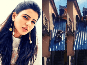 Goosebumps guaranteed: Samantha jumping from a roof-top is turning heads; co-star shares a viral 'stunt' VIDEO!