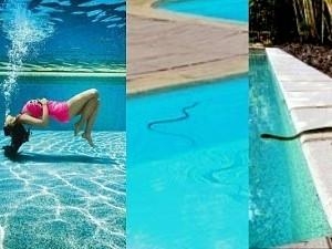 Snake takes a dip at this popular actress' pool - video goes viral - Watch!